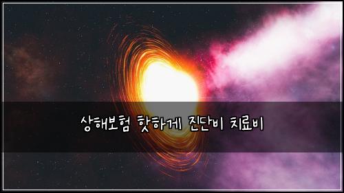 ์ํด๋ณดํ ํซํ๊ฒ ์ง๋จ๋น ์น๋ฃ๋น