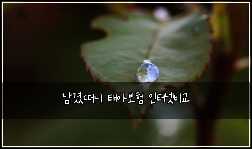 남겼떠니 태아보험 인터넷비교 