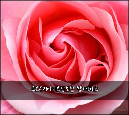 교보우리아이보장보험 함께체크 