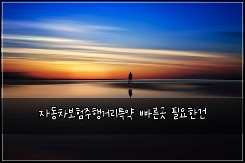 자동차보험주행거리특약 빠른곳 필요한건