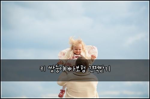 키 쌍둥이태아보험 견적받기 