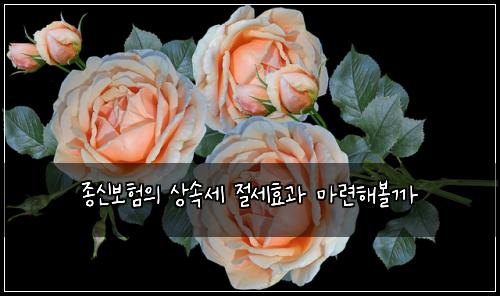 ์ข
์ ๋ณดํ์ ์์์ธ ์ ์ธํจ๊ณผ ๋ง๋ จํด๋ณผ๊น