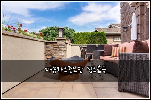 자동차보험보장 정보습득