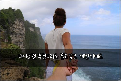 태아보험 추천드려요  필요담보 계산기에요