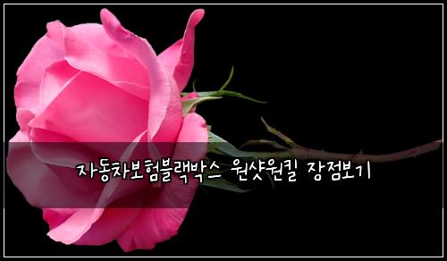 자동차보험블랙박스 원샷원킬 장점보기