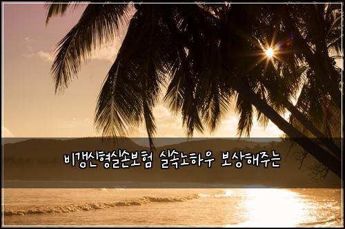 ๋น๊ฐฑ์ ํ์ค์๋ณดํ ์ค์๋
ธํ์ฐ ๋ณด์ํด์ฃผ๋
