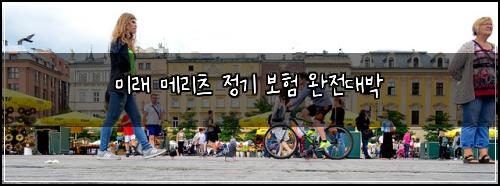 미래 메리츠 정기 보험 완전대박 