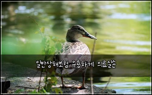 일반상해보험 유용하게  의료실손