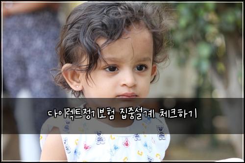 다이렉트정기보험 집중설계  체크하기
