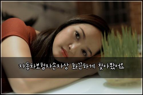 ์๋์ฐจ๋ณดํ์์์์ ํ๋ํ๊ฒ ์ฐพ์๋ดค์ด์