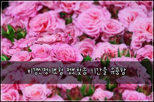 ๋น๊ฐฑ์ ์ ๊ธฐ๋ณดํ ์ ๋ณด์ฐพ์ ๊ธฐ๊ฐ์ ์ ์ฉํจ