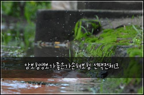 암보험생보가좋은가손해보험 선택전체크