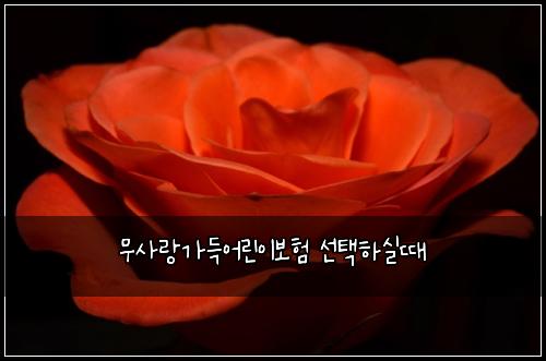๋ฌด์ฌ๋๊ฐ๋์ด๋ฆฐ์ด๋ณดํ ์ ํํ์ค๋
