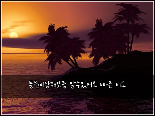 통원비상해보험 알수있어요  빠른 비교