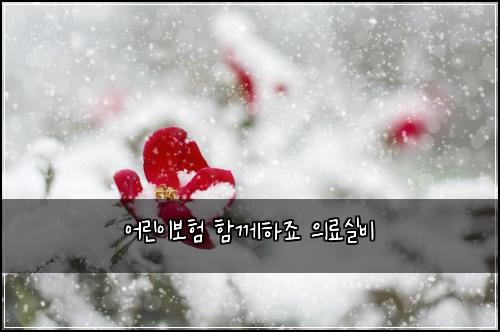 ์ด๋ฆฐ์ด๋ณดํ ํจ๊ปํ์ฃ ์๋ฃ์ค๋น
