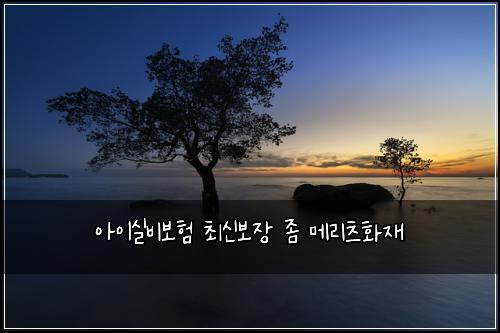 ์์ด์ค๋น๋ณดํ ์ต์ ๋ณด์ฅ ์ข ๋ฉ๋ฆฌ์ธ ํ์ฌ
