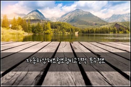 자동차상해보험보험비교견적 특수정보