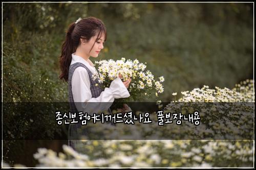 종신보험어디꺼드셨나요 풀보장내용