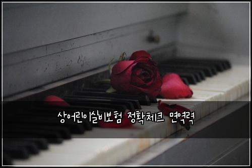 상어린이실비보험 정확체크  면역력