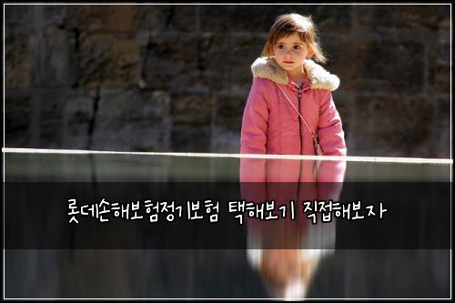 롯데손해보험정기보험 택해보기 직접해보자