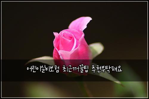 ์ด๋ฆฐ์ด์ค๋น๋ณดํ ์ต๊ทผ๊บผ๊ฟํ ์ถ์ฒ๋ถํํด์