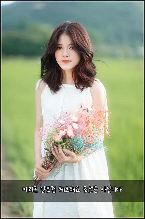 메리츠 암보험 체크해요  최선은 아닙니다