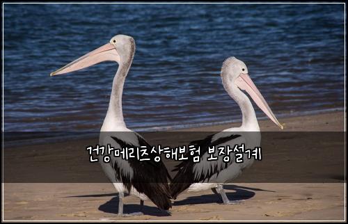 건강메리츠상해보험 보장설계 