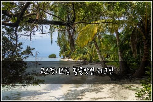 교보정기보험 활용방법  체크팁