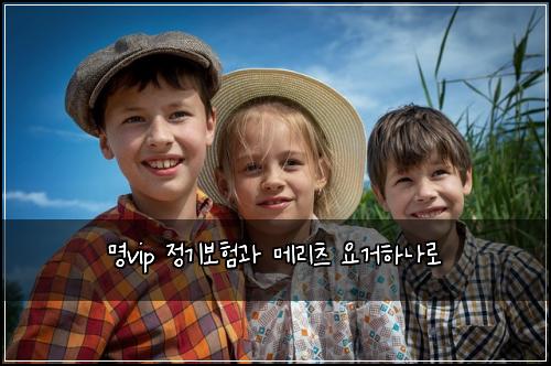명vip 정기보험과 메리츠 요거하나로