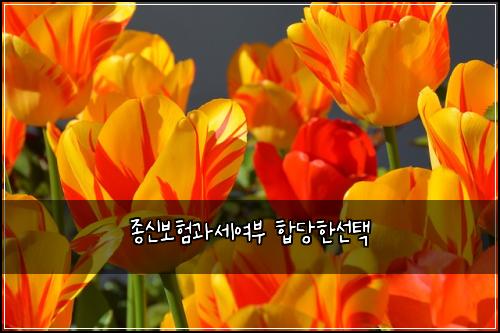 ์ข
์ ๋ณดํ๊ณผ์ธ์ฌ๋ถ ํฉ๋นํ์ ํ