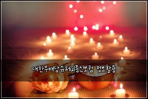 ๋ํ๋ฌด๋ฐฐ๋น์ํผul์ข
์ ๋ณดํ ์ ๋ณดํ์ฉ