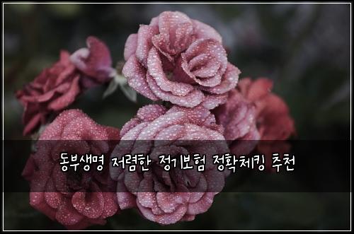 ๋๋ถ์๋ช
์ ๋ ดํ ์ ๊ธฐ๋ณดํ ์ ํ์ฒดํน ์ถ์ฒ