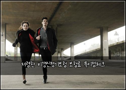 저렴한 비갱신정기보험 보험료 특이점체크