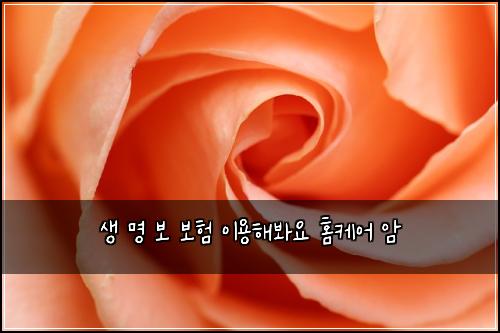 ์ ๋ช
๋ณด ๋ณดํ ์ด์ฉํด๋ด์ ํ์ผ์ด ์