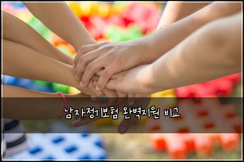 남자정기보험 완벽지원  비교