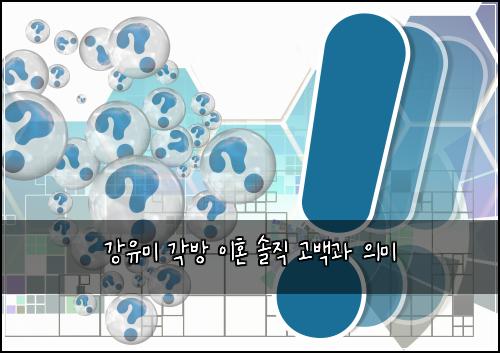 강유미 각방 이혼 솔직 고백과 의미