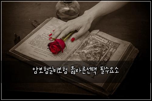 ์๋ณดํ์ค๋น๋ณดํ ์ณ๋ฐ๋ฅธ์ ํ ํ์์์