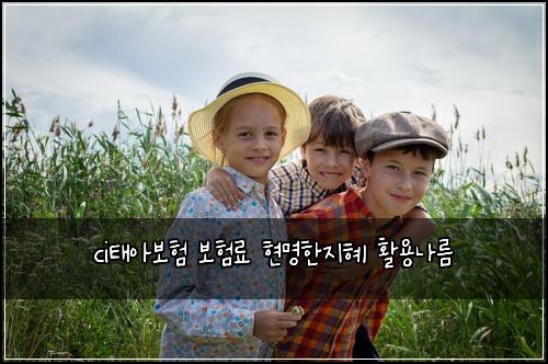 ci태아보험 보험료 현명한지혜 활용나름