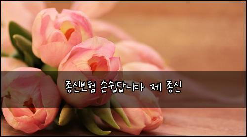 종신보험 손쉽답니다  제 종신