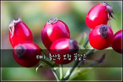 ํ์ ์ถ์ฐํ ๋ณดํ ๊ฟ๊ฐ์
