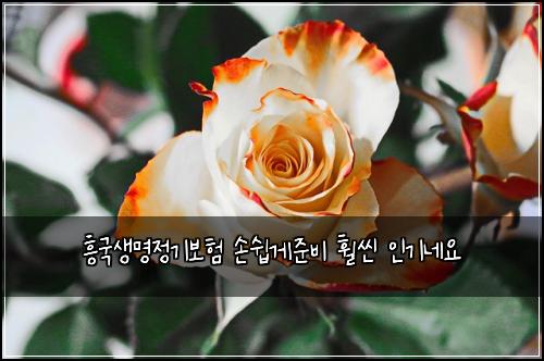 ํฅ๊ตญ์๋ช
์ ๊ธฐ๋ณดํ ์์ฝ๊ฒ์ค๋น ํจ์ฌ ์ธ๊ธฐ๋ค์