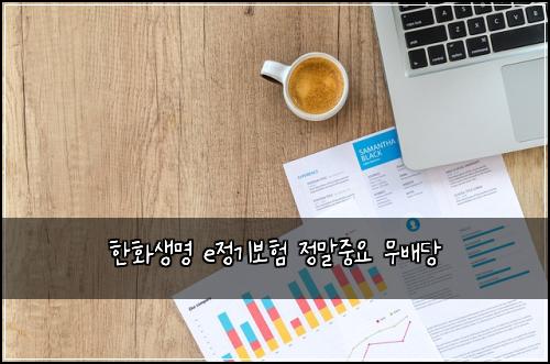한화생명 e정기보험 정말중요  무배당