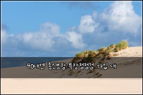 40๋์ ์ข
์ ๋ณดํ ํน์ฅ์ ์ ๊ฒ ๊ฐ์
๋