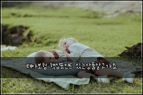 ํ์๋ณดํ ํต์ฌํฌ์ธํธ ์๋์ํ์๊ณ ๊ฐ์ฃ