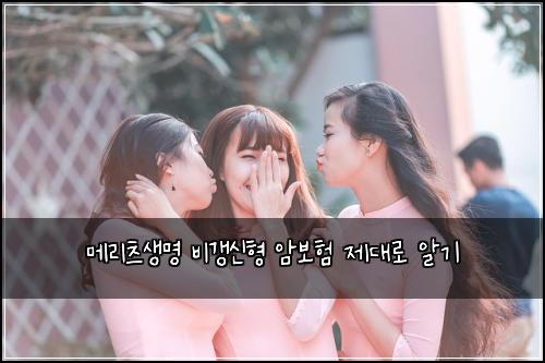 메리츠생명 비갱신형 암보험 제대로 알기
