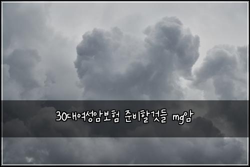30대여성암보험 준비할것들  mg암