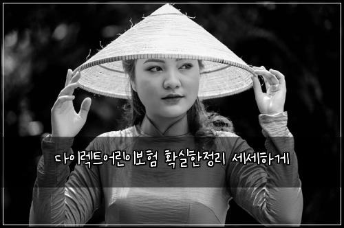 ๋ค์ด๋ ํธ์ด๋ฆฐ์ด๋ณดํ ํ์คํ์ ๋ฆฌ ์ธ์ธํ๊ฒ