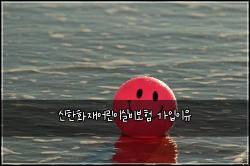 신한화재어린이실비보험 가입이유 