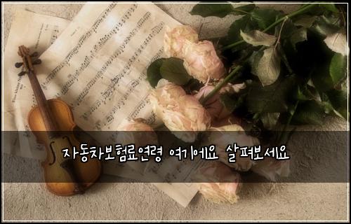 ์๋์ฐจ๋ณดํ๋ฃ์ฐ๋ น ์ฌ๊ธฐ์์ ์ดํด๋ณด์ธ์