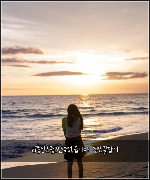 ci종신보험3년들었습니다 정보길잡이